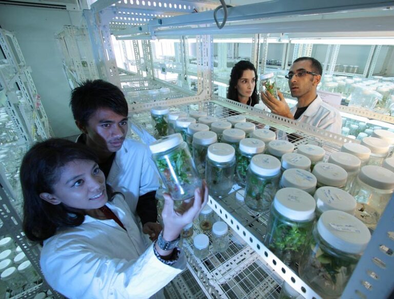 Students in laboratory